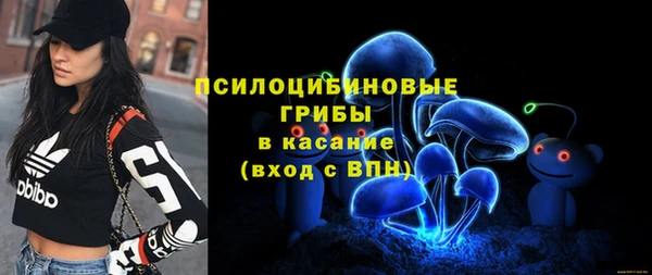 бошки Алексеевка