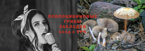 бошки Алексин