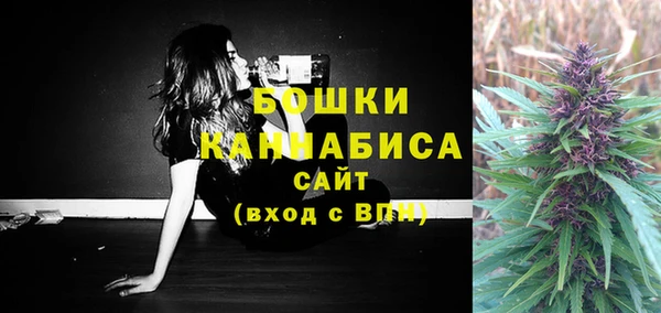 бошки Алексин